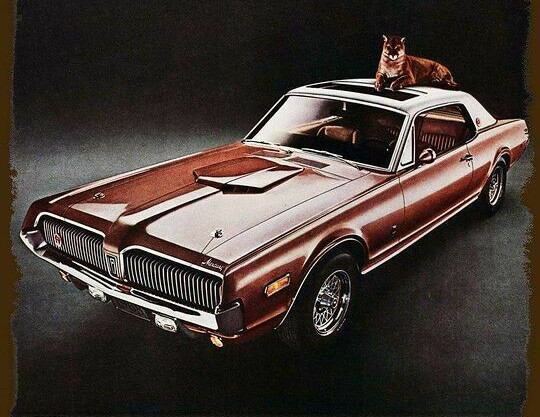 Mercury Cougar 1967 Motor Trend Car of the Year